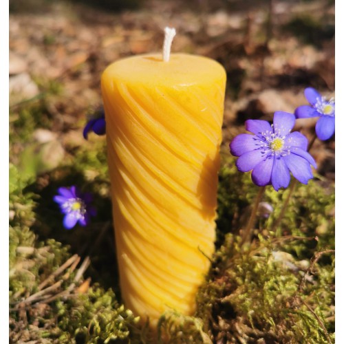 Bičių vaško žvakė - Pieva
